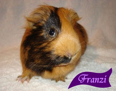 Franzi