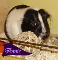 Annie
